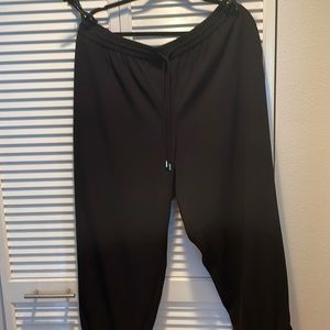 EXPRESS polyester pant.